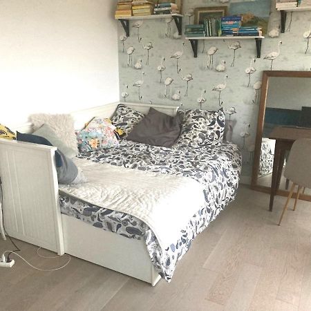 Appartement Lumineux 2 Chambres Ciboure Esterno foto
